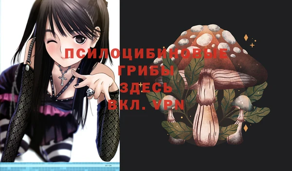 2c-b Баксан
