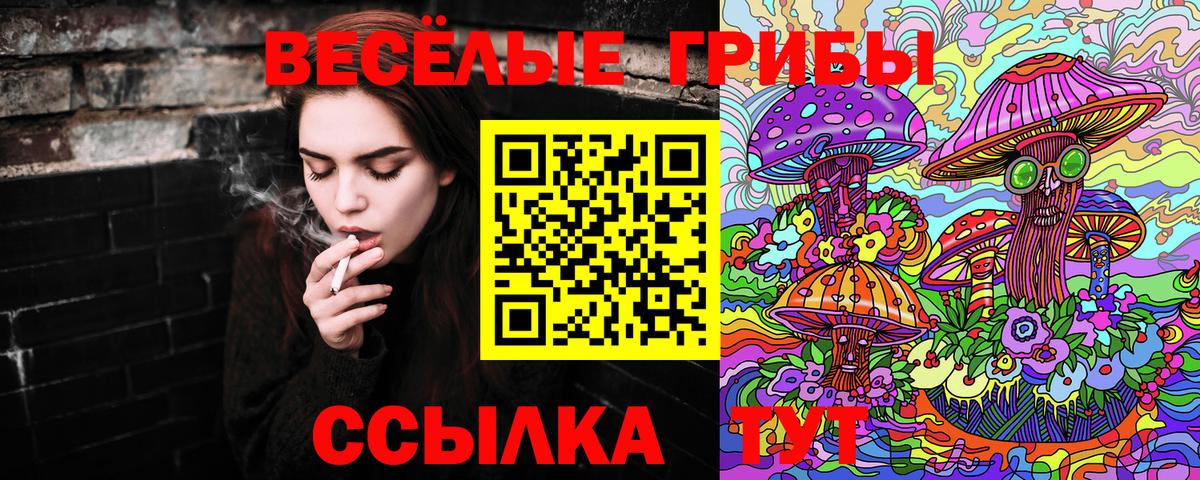Галлюциногенные грибы Psilocybe  Вход с VPN  Белогорск 