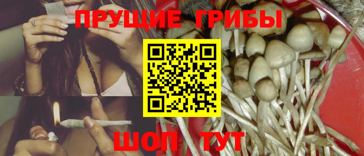 Галлюциногенные грибы Psilocybe Белогорск